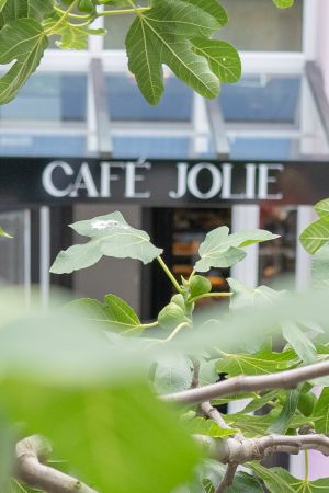 Der Café Jolie-Firmenschild zwischen Blättern